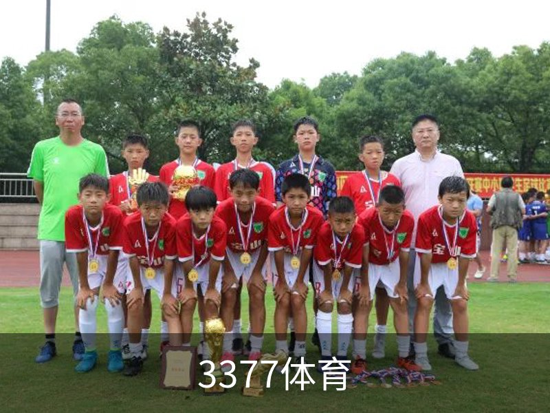 了解3377体育